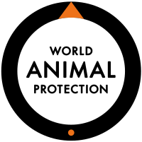 Compassionate Donation🐕🐈